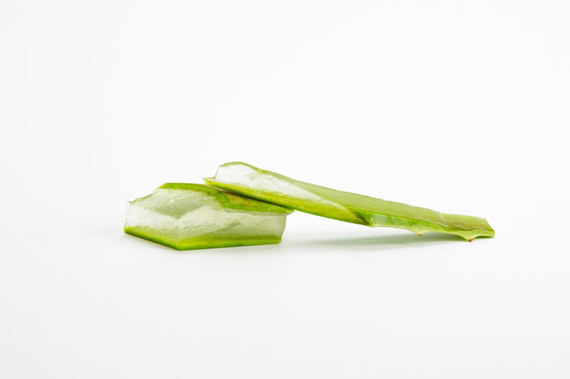 Aloe Vera pour les Cheveux : 10 Bienfaits Scientifiquement Prouvés - Piuma Bianca